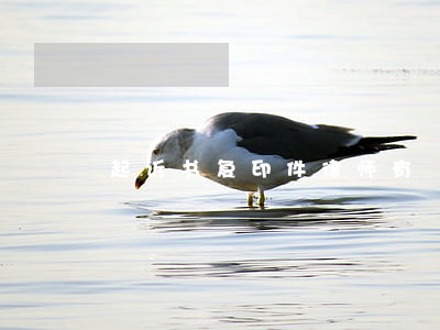 起诉书复印件律师有 起诉书复印件律师有