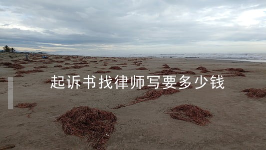 起诉书找律师写要多少钱 起诉书找律师写要多少钱