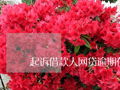 起诉借款人网贷逾期在什么地方 起诉借款人网贷逾期在什么地方