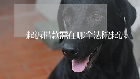 起诉借款需在哪个法院起诉