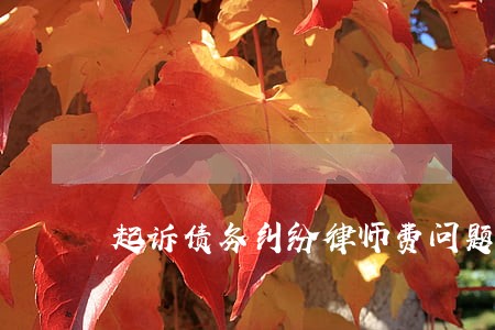 起诉债务纠纷律师费问题如何