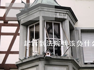 起诉到法院我该负什么责任 起诉到法院我该负什么责任