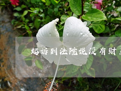 起诉到法院说没有财产可以执行了 起诉到法院说没有财产可以执行了