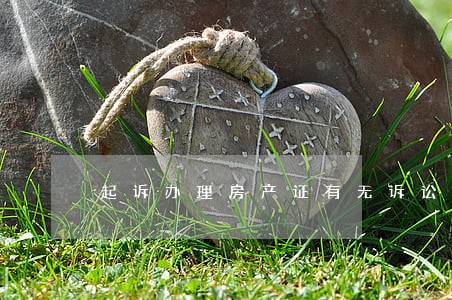 起诉办理房产证有无诉讼时效