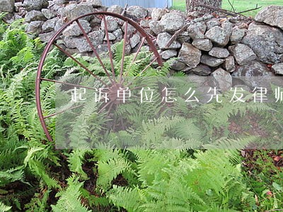 起诉单位怎么先发律师函 起诉单位怎么先发律师函