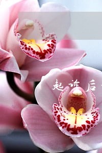 起诉后拿不到钱律师怎么收费 起诉后拿不到钱律师怎么收费