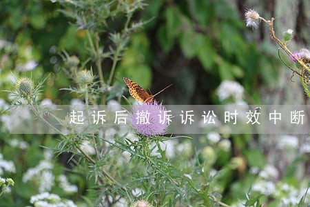 起诉后撤诉诉讼时效中断最高法 起诉后撤诉诉讼时效中断最高法