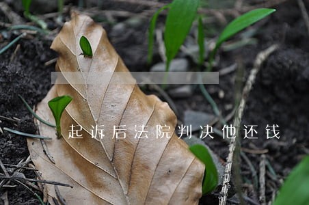 起诉后法院判决他还钱 起诉后法院判决他还钱