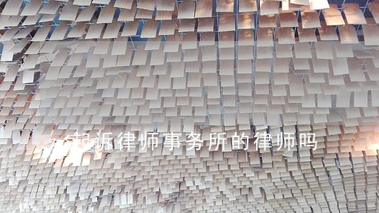 起诉律师事务所的律师吗 起诉律师事务所的律师吗