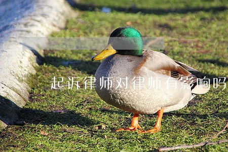 起诉律师对律师有影响吗