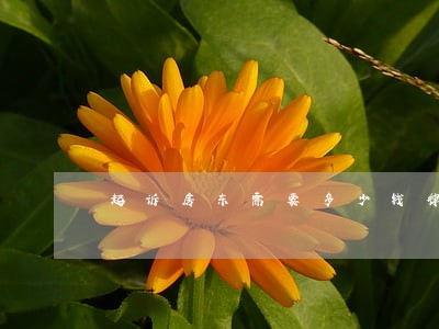 起诉房东需要多少钱律师费多少 起诉房东需要多少钱律师费多少