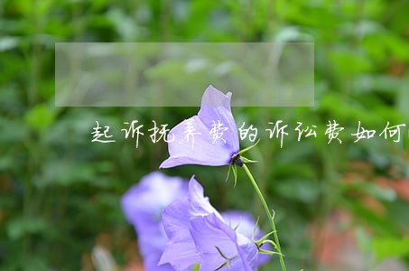 起诉抚养费的诉讼费如何收取 起诉抚养费的诉讼费如何收取
