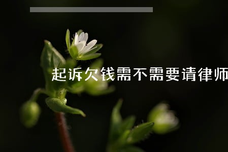 起诉欠钱需不需要请律师二审 起诉欠钱需不需要请律师二审
