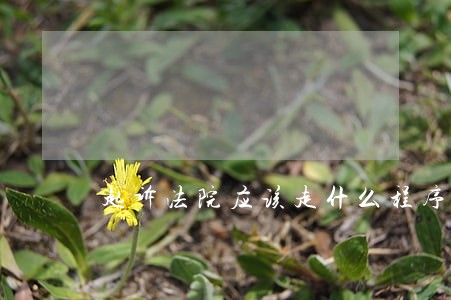 起诉法院应该走什么程序