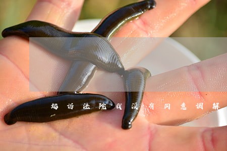 起诉法院我没有同意调解 起诉法院我没有同意调解
