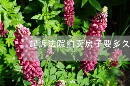起诉法院拍卖房子要多久哪到钱
