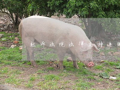 起诉法院法律支持追回本金吗 起诉法院法律支持追回本金吗