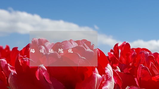 起诉法院说 起诉法院说