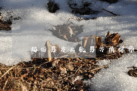 起诉男方出轨男方请律师 起诉男方出轨男方请律师
