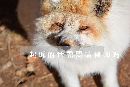 起诉的话需要请律师吗