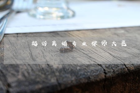 起诉离婚专业律师大邑 起诉离婚专业律师大邑