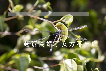 起诉离婚了女方不出庭 起诉离婚了女方不出庭