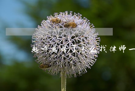 起诉离婚了怎么找律师一审 起诉离婚了怎么找律师一审