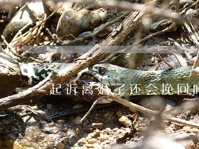 起诉离婚了还会挽回吗 起诉离婚了还会挽回吗