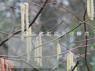 起诉离婚债务律师费