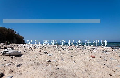 起诉离婚全权委托律师 起诉离婚全权委托律师