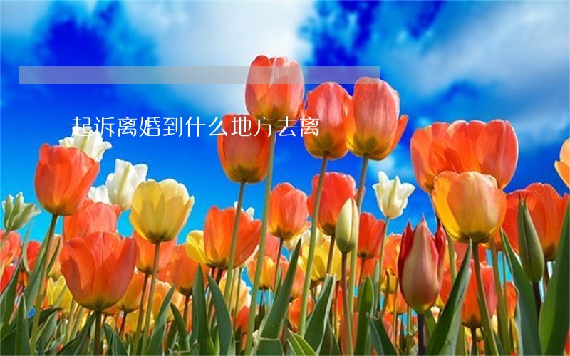 起诉离婚到什么地方去离 起诉离婚到什么地方去离