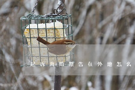 起诉离婚原告在外地怎么办 起诉离婚原告在外地怎么办