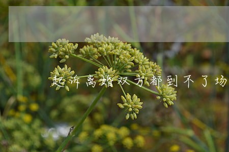起诉离婚双方都到不了场咋办 起诉离婚双方都到不了场咋办