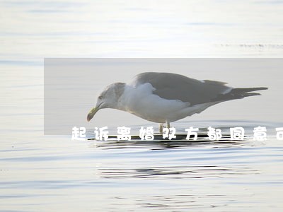 起诉离婚双方都同意可到不了现场