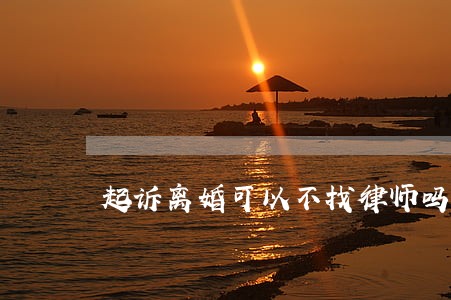 起诉离婚可以不找律师吗 起诉离婚可以不找律师吗