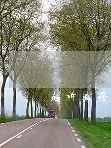 起诉离婚可以撤诉吗 起诉离婚可以撤诉吗