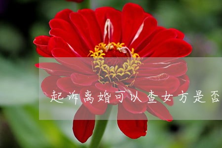 起诉离婚可以查女方是否与人同居