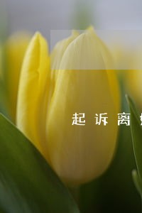 起诉离婚后怎么可以再婚 起诉离婚后怎么可以再婚