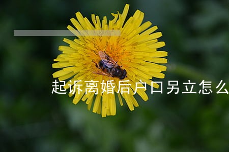 起诉离婚后户口另立怎么办 起诉离婚后户口另立怎么办
