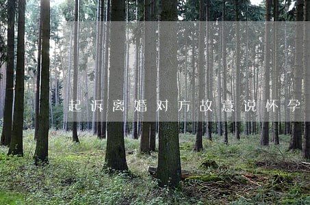 起诉离婚对方故意说怀孕 起诉离婚对方故意说怀孕