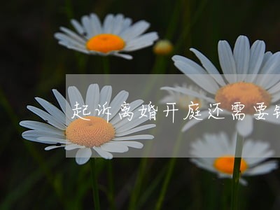 起诉离婚开庭还需要钱吗 起诉离婚开庭还需要钱吗