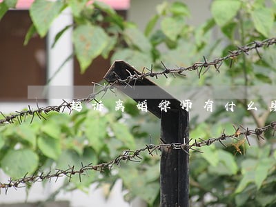 起诉离婚律师有什么具体的规定吗