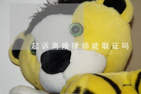 起诉离婚律师能取证吗 起诉离婚律师能取证吗