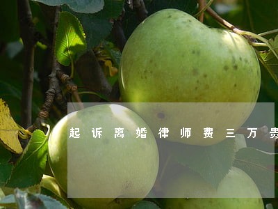 起诉离婚律师费三万贵吗 起诉离婚律师费三万贵吗