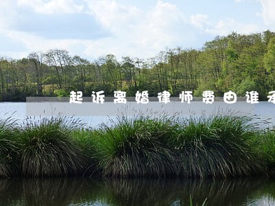起诉离婚律师费由谁承担 起诉离婚律师费由谁承担
