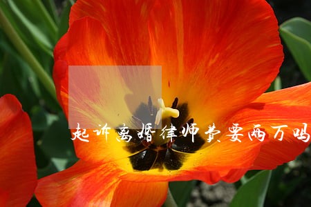 起诉离婚律师费要两万吗 起诉离婚律师费要两万吗