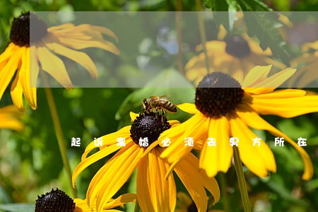 起诉离婚必须去男方所在地吗 起诉离婚必须去男方所在地吗