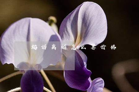 起诉离婚怎么算价格 起诉离婚怎么算价格
