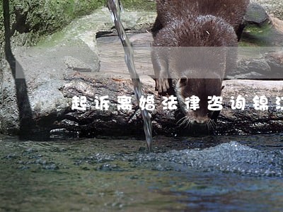 起诉离婚法律咨询锦江区 起诉离婚法律咨询锦江区