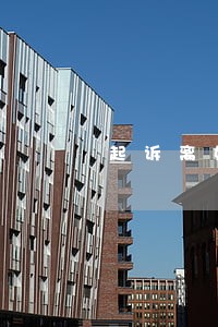 起诉离婚法院会调查双方吗 起诉离婚法院会调查双方吗